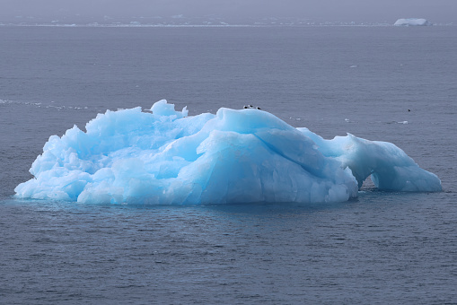 Antarctica icebergs
