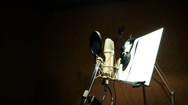 istock Microphone with shockmount and pop filter on tripod and note stand in recording sound studio video production. 1686789707