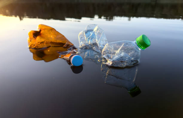 istock Marine plastic pollution. Plastic waste in lake water 1686791827