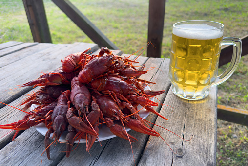 Lobster on plate on a wooden table. Crawfish Snack to beer. Crayfish Beer snack dish. Boiled crawfish, red clayfish eat. Fresh cooked Crawfishes.