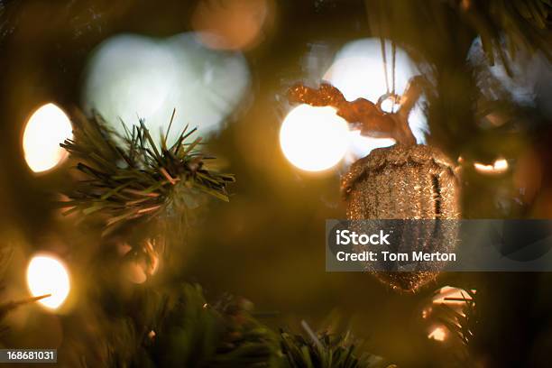 Acorn Christbaumkugel Stockfoto und mehr Bilder von Aufnahme von unten - Aufnahme von unten, Baum, Beleuchtet