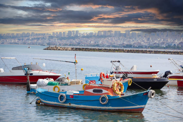 sunsuet marina