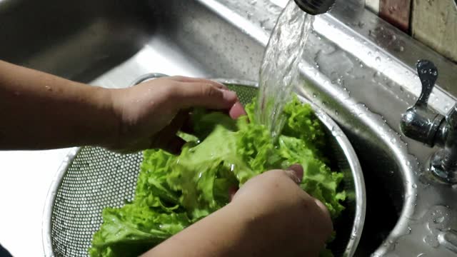 Slo Mo Woman's hands washing fresh green salad vegetables slowly on the sink.