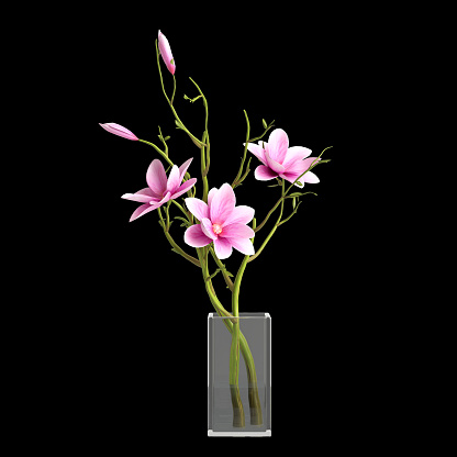 3d illustration of pink flower vase decoration in luxury space isolated black background