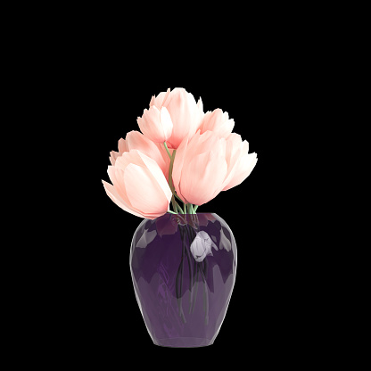 3d illustration of pink flower vase decoration in luxury space isolated black background