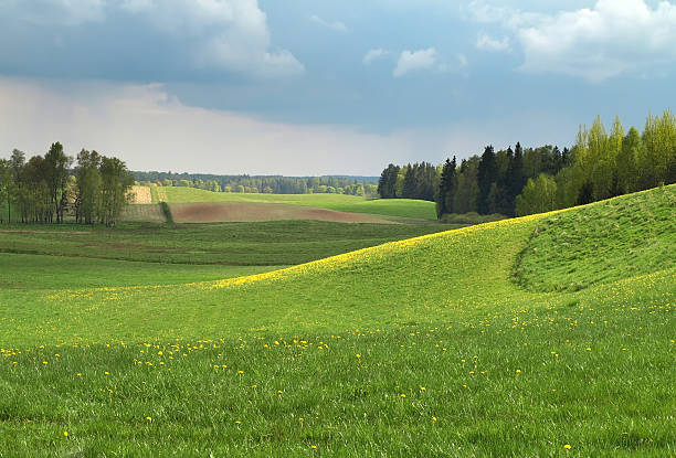 primavera paesaggio rurale - masuren foto e immagini stock