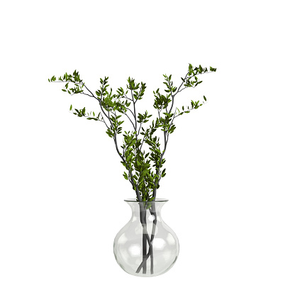 3d illustration of flower vase isolated on white background