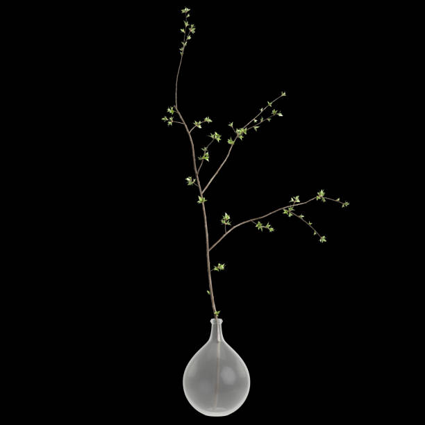 ilustracja 3d dekoracji wazonu kwiatowego izolowanej na czarnym tle - ciliata zdjęcia i obrazy z banku zdjęć