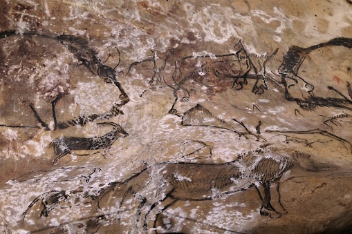 Original cave paintings. Black paintings of bison, horses and ibexes.\