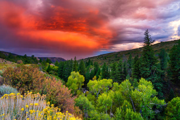 Ruisseau coulant à travers les montagnes avec un coucher de soleil spectaculaire - Photo