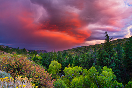 Stream Flowing Through Mountains with Dramatic Sunset - Brilliant pink, orange, red skies with large scenic cloud lit up with warm colors at sunset. Mountains with valley and creek running through with copy space.