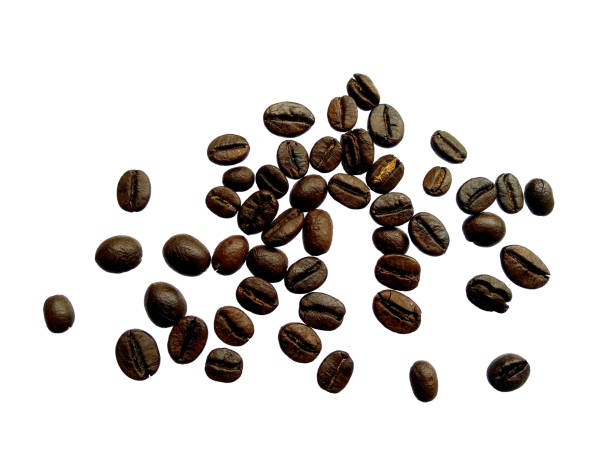 Coffee powder isolated on white background. Coffee powder on white background, is a beverage derived from brewed coffee beans. Delicious coffee beans and coffee powder