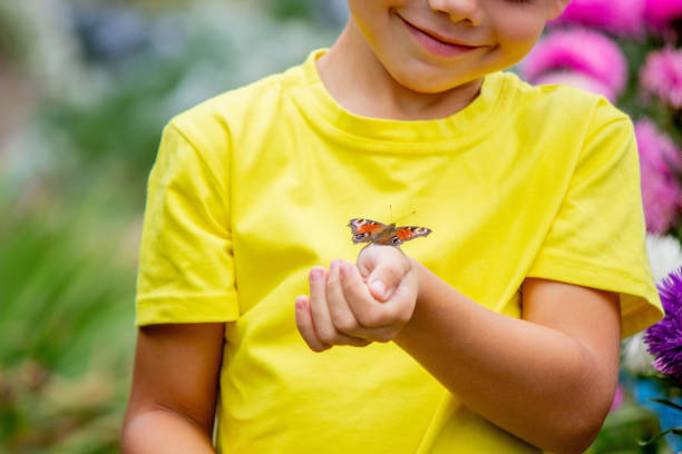boy holding a butterfly on his hand selective focus. Nature