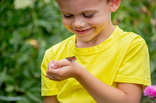 boy holding a butterfly on his hand selective focus. Nature