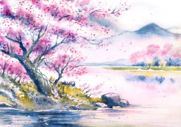 Watercolor landscape with mountains and cherry blossoms Watercolor landscape with mountains and cherry blossoms over lakes, illustrations for postcards, covers, posters and other printing. flower backgrounds cherry blossom spring stock illustrations