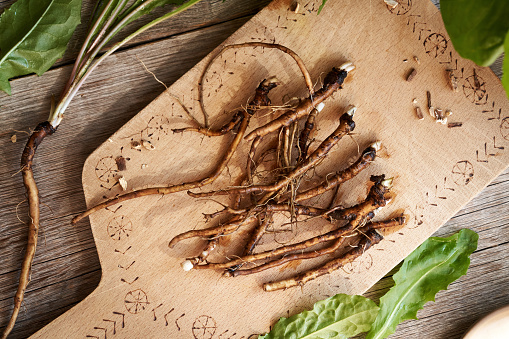 Whole fresh dandelion roots on a table, top view
