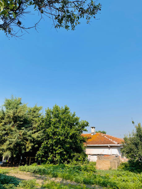 istock Rome, Italy. View of the Villa Borghese. 1687018666