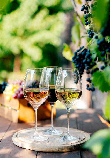 collezione di tre diversi vini in calici - burgundy foto e immagini stock