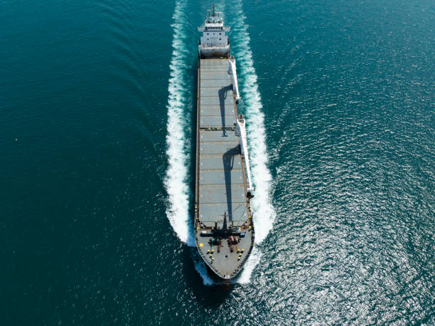 istock Aerial view of freight ship with cargo containers 1687028193