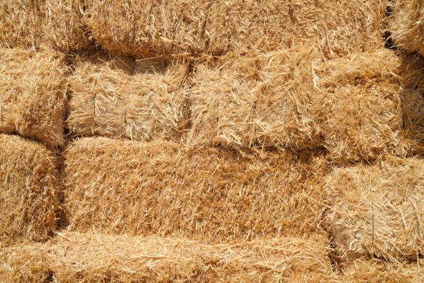 istock Stacked hay bales, close-up, full frame 1687028218