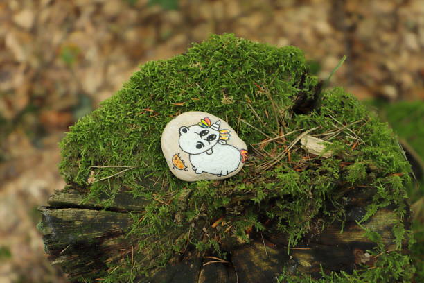 istock a colorfully painted pebble in the forest 1687050300