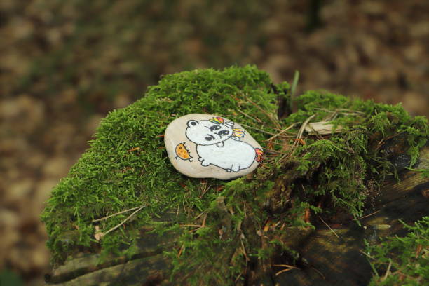 istock a colorfully painted pebble in the forest 1687052411