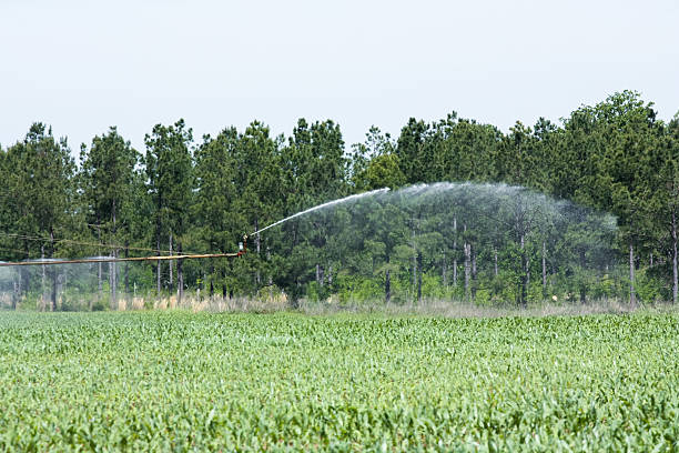 Crop Irrigation stock photo