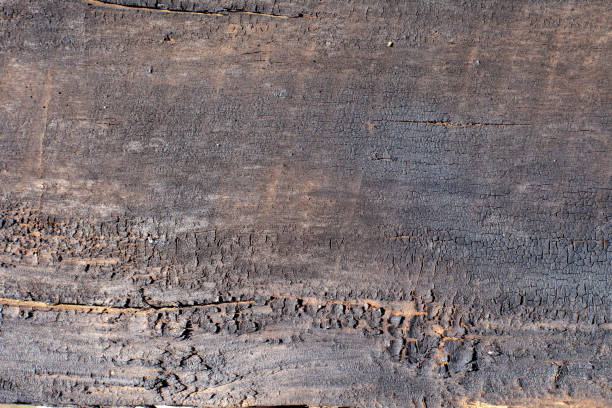 istock Background of a burnt board close-up. 1687081237