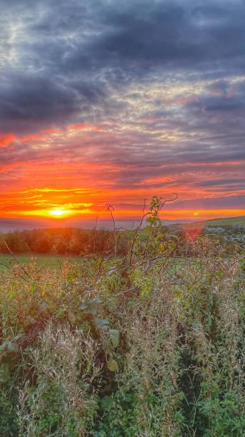 istock Sunset on the coast over the Irish Sea 1687097610