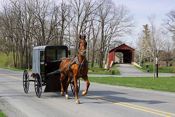 istock Amish horse and carriage with covered bridge in background  168711272