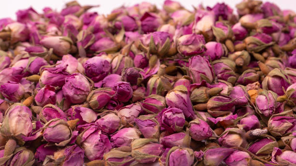 istock Dry tea roses isolated on white background. 1687115335