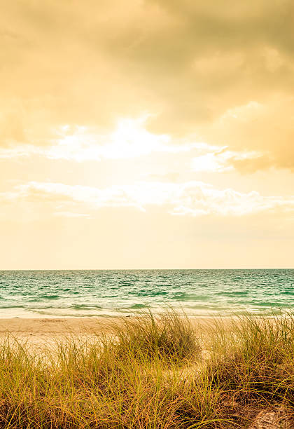 Stormy Beach - Vintage Golden Colors