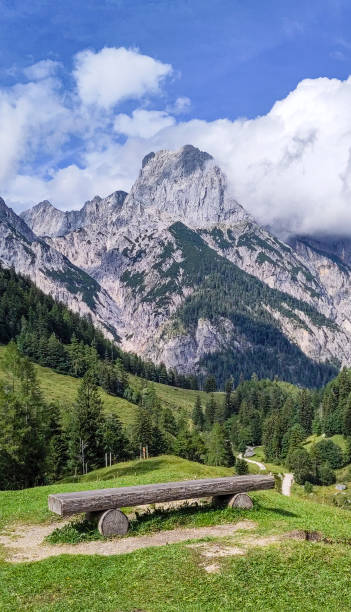 klausbachtal mit reiteralm im nationalpark berchtesgaden - alm bavaria mountain summer stock-fotos und bilder