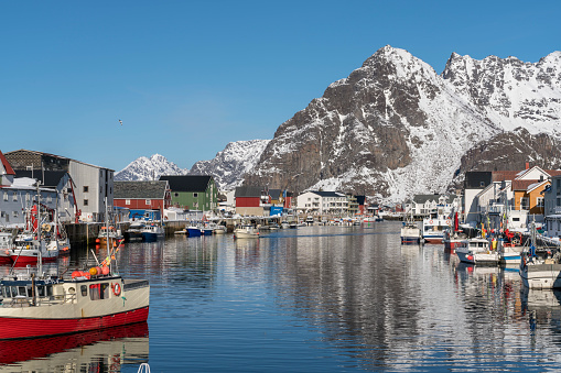 Port of fishing village Henningsvær in the Lofoten Island. Lots of fishing boats on sunny winter day against rocky mountain.