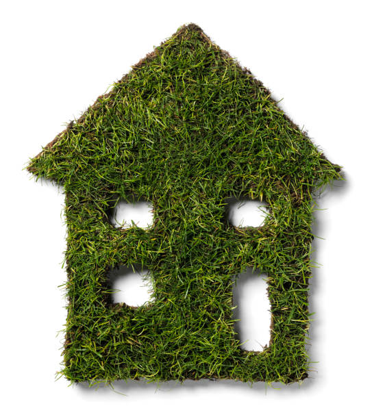 istock Greenhouse in Grass 168717923