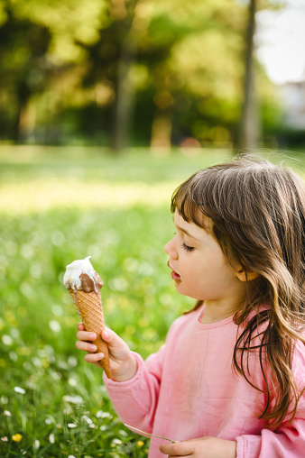 beautiful girl holding ice-cream in a parkland.