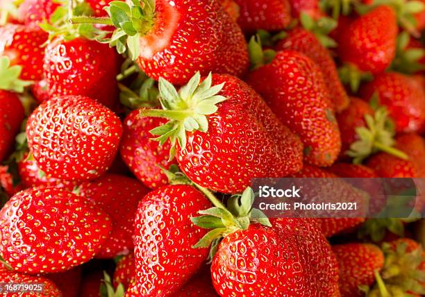 Fresh Organic Strawberry Stock Photo - Download Image Now - Agriculture, Antioxidant, Berry Fruit