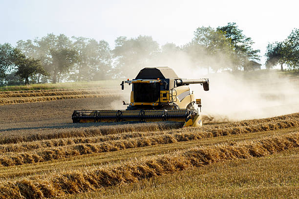 istock Yellov combine on field harvesting gold wheat 168719047