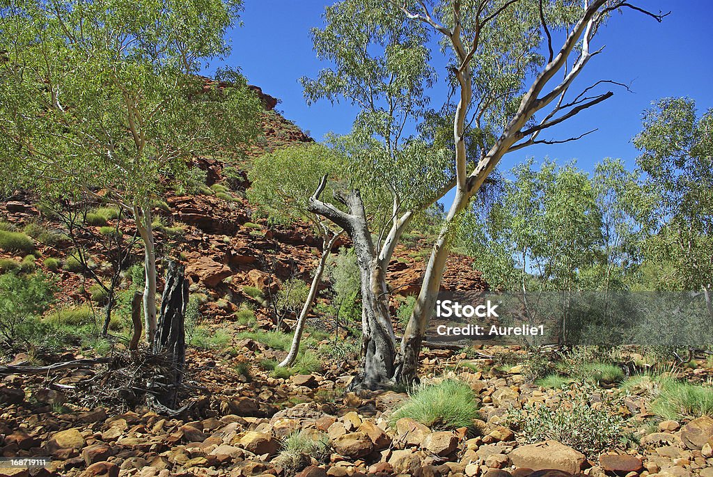 Kings canyon - Royalty-free Alice Springs Foto de stock