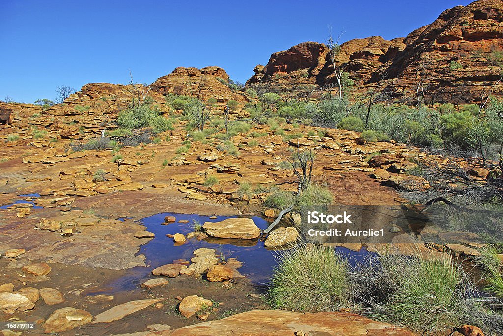 Kings canyon Remote dry landscape in kings canyon in desert of red center, Australia Alice Springs Stock Photo