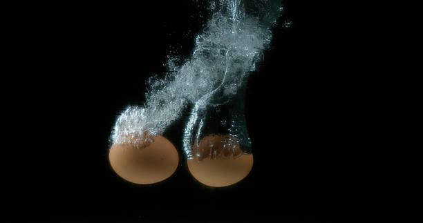istock Chicken's Eggs entering Water against Black Background 1687193430