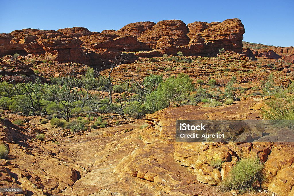Kings canyon - Photo de Alice Springs libre de droits