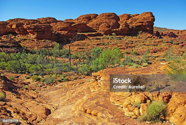 Photo libre de droit de Kings Canyon banque d'images et plus d'images libres de droit de Alice Springs - Alice Springs, Arbre, Australie