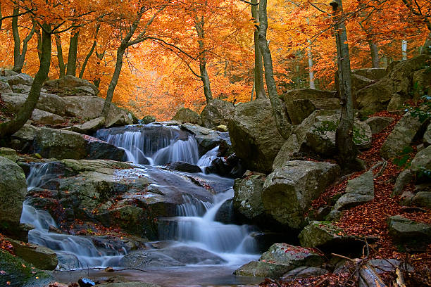 Waterfall in the natural park of Montseny (Barcelona-Spain) stock photo