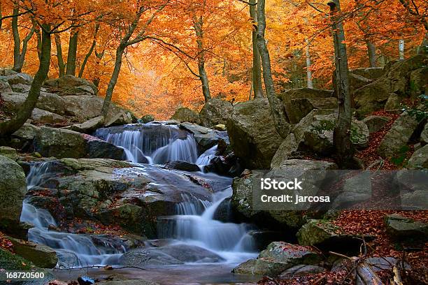 Waterfall In The Natural Park Of Montseny Stock Photo - Download Image Now