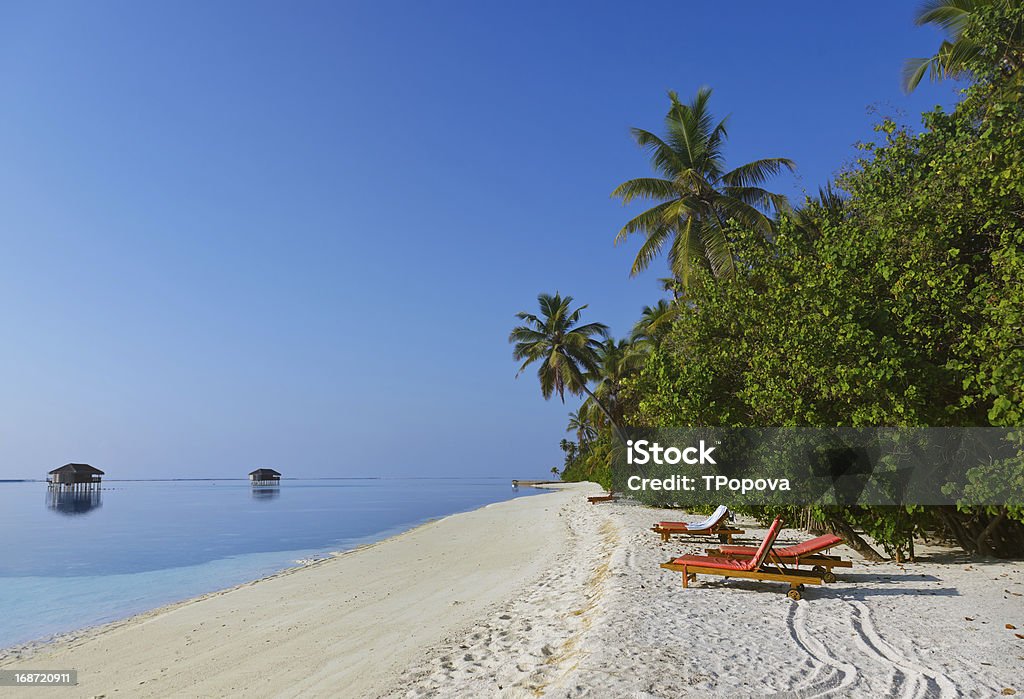 トロピカルビーチで、モルディブ - インド洋のロイヤリティフリーストックフォト