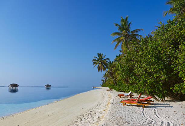 istock Tropical beach at Maldives 168720911