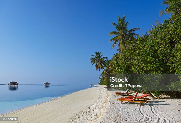 Tropikalnej Plaży W Malediwy - zdjęcia stockowe i więcej obrazów Bez ludzi - Bez ludzi, Dom parterowy, Drzewo