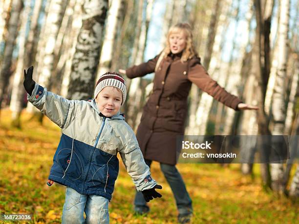 Mãe E Filho Em Uma Floresta De Outono - Fotografias de stock e mais imagens de 25-29 Anos - 25-29 Anos, 4-5 Anos, Adulto