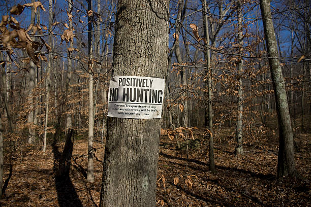 istock Positively No Hunting Sign 168723577